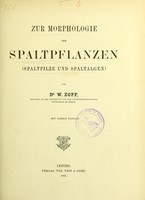 view Zur Morphologie der Spaltpflanzen (Spaltpilze und Spaltalgen) / von W. Zopf.