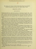 view The myology of the upper and lower extremities of Orycteropus capensis / by John Charles Galton.