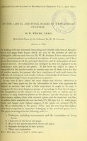 view On the larval and pupal stages of West African Culicidae / by W. Wesché ; with field-notes by the collector, W.M. Graham.