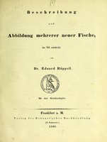 view Beschreibung und Abbildung mehrerer neuer Fische, im Nil entdeckt / von Eduard Rüppell.