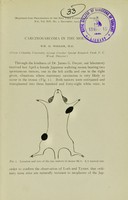 view Carcinosarcoma in the mouse / Wm. H. Woglom.