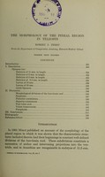 view The morphology of the pineal region in teleosts / Robert J. Terry.