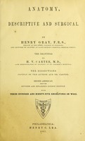 view Anatomy : descriptive and surgical / by Henry Gray ; drawings by H. V. Carter.