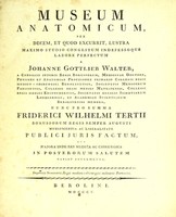 view Museum anatomicum ... / congestum indefessoque labore perfectum a Johanne Gottlieb Walter.