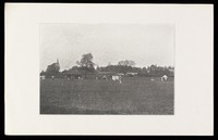 view Cricket Field showing match