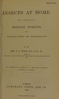 view Insects at home : being a popular account of British insects, their structure, habits and transformations / by J.G. Wood.