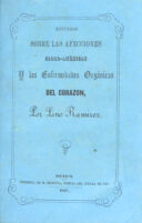 view Estudios sobre las afecciones cloro-anémicas y las enfermedades orgánicas del corazon / por Lino Ramirez.