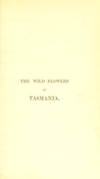 view Wild flowers of Tasmania, or, Chatty rambles afloat and ashore, amidst the seaweeds, ferns, and flowering plants : with a complete list of indigenous ferns, and instructions for their cultivation / by S. Hannaford.