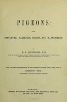 view Pigeons : their structure, varieties, habits, and management / by W.B. Tegetmeier.