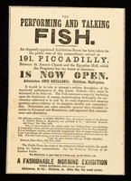 view [Undated handbill (1859?) advertising "The performing and talking fish", on exhibition at 191 Piccadilly, London].