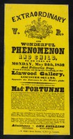 view [Victorian handbill (May 24th 1852) advertising 21 year old Madame Fortunne of Geneva and her 4 inch long, bushy, black beard, on exhibition at Linwood Gallery, Leicester Square, London. ].