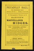 view [Undated yellow handbill (London, December 1884?) advertising an appearance by Harvey's Midges: Princess Lottie, Prince Midge, Miss Jennie Worgen, General Tot and Mlle. Lottie Adelina de Lara,  child pianist, at the Piccadilly Hall, London].