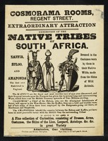 view [Undated handbill (1850?) advertising "a display of African tribesmen in traditonal costumes at Cosmorama Rooms, Regent Street, London].