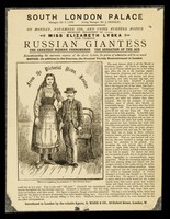 view [Undated handbill (November 1889?) advertising an exhibition of Elizabeth Lyska, a Russian giantess over 7 feet tall, at the South London Palace].