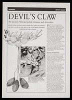 view [Leaflet advertising devil's claw as a herbal cleanser, detoxifier and for rheumatic conditions].