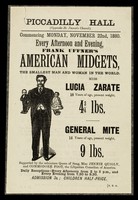 view [Leaflet advertising appearances by Frank Uffner's American Midgets: Lucia Zarate and General Mite at the Piccadilly Hall, London, 22 November 1880. Printed on white paper].