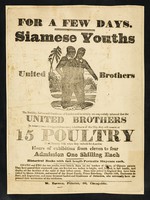 view [Leaflet advertising appearances by Siamese Youths, united brothers Chang and Eng at 15 Poultry, London].