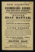 view Now exhibiting at the Cosmorama Rooms, 209, Regent Street : the wonder of the world, Master Esau Battae.