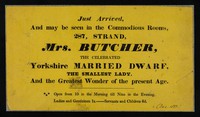 view Just arrived, and may be seen in the Commodious Rooms, 287 Strand : Mrs. Butcher, the celebrated Yorkshire married dwarf : the smallest lady and the greatest wonder of the present age.