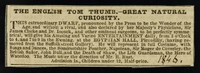 view The English Tom Thumb : great natural curiosity.