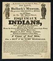 view Just arrived from Bullock's Museum, the greatest novelty in Hull : to be seen, at no. 13 Queen-Street, the only two esquimaux indians, ever brought to this kingdom : mal;e and female, from the frozen regions of the North ...