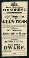 view Three astonishing wonders!! ... : the British phenomenon Miss Stringer, the young Yorkshire Giantess ... Miss Newcomb, the Lincolnshire Lady ... Master Wall, the Cornish Dwarf.