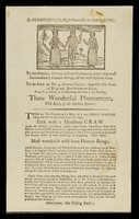 view By permission of the Right Honorable the Lord Mayor : to the nobility, gentry, and the curious for inspecting most extraordinary human beings, of the wild species born ... three wonderful phoenomena ... each with a monstrous CRAW under the throat ...