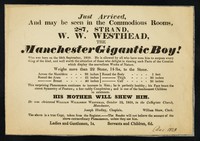 view Just arrived, and may be seen in the commodious rooms, 287, Strand : W.W. Westhead, the Manchester Gigantic Boy! Who was born on the 26th September, 1810 ...