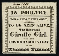 view 15 Poultry : for a short time only: to be seen alive, the beautiful Giraffe Girl, with a fine cosmoramic view of the Thames Tunnel.