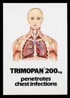 view Trimopan 200mg penetrates chest infections.