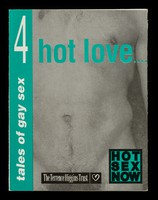 view Tales of gay sex. 4, Hot love... / Terrence Higgins Trust.