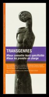 view Transgenres : mieux connaître leurs spécificités, mieux les prendre en charge / ARCAT, COREVIH Ile de France Nord, COREVIH Ile de France Ouest ; avec la particiaption du Dr. Anaenza Freire Maresca ... et du Dr. Florence Michard.