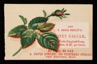 view Try A. Davis Ashley's Honey Balsam, for colds, coughs & croup.