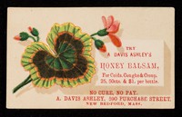 view Try A. Davis Ashley's Honey Balsam, for colds, coughs & croup.