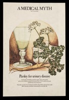 view A medical myth : Parsley for urinary disease.