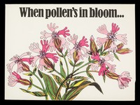 view When pollen's in bloom... : Rynacrom : disodium cromoglycate for hay fever.