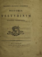 view Ioannis Davidis Schoepff Historia testvdinvm iconibvs illvstrata.