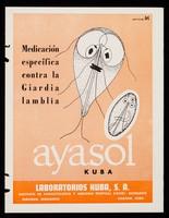 view Medicación especfica contra la Giardia lamblia : Ayasol Kuba / Laboratorios Kuba.