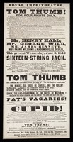 view Field Marshal Tom Thumb! : For four nights only / Royal Amphitheatre, 15 Great Charlotte Street.