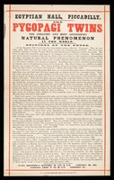 view The Pygopagi Twins : the greatest and most astonishing natural phenomenon in the world : opinions of the press ... daily receptions  between 2 and 5 p.m. Admission 2s 6d. Evenings from 7 to 9 p.m. Admission 1s. / Egyptian Hall, Piccadilly.