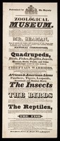 view The Zoological Museum ... : Mr. Seaman, (as manager for a society of gentlemen, to whom this collection belongs) begs to inform the ladies and gentlemen of this town, that he has just arrived with that extensive and valuable Museum, containing many thousands of natural curiosities ...