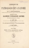 view Lehrbuch der pathologischen Anatomie ... / F. V. Birch-Hirschfeld.