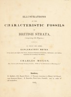 view Illustrations of the characteristic fossils of British strata / [Charles Moxon].