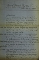 view [Report 1895] / Medical Officer of Health, Downham Market U.D.C.