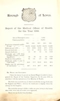 view [Report 1919] / Medical Officer of Health, Lewes Borough.