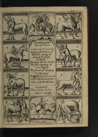 view Markhams maister-peece: contayning all knowledge belonging to the smith, farrier, or horse-leech, touching the curing of all diseases in horses / [Gervase Markham].