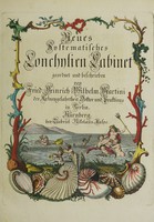 view Neues systematisches Conchylien-Cabinet / Geordnet und beschrieben von Friedrich Heinrich Wilhelm Martini und unter dessen Aufsicht nach der Natur gezeichnet und mit lebendigen Farben erleuchtet.