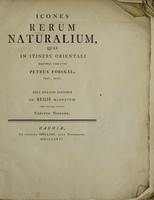 view Icones rerum naturalium, quas in itinere Orientali depingi / curavit Petrus Forskål ; post mortem auctoris ad Regis mandatum æri incisas edidit Carsten Niebuhr.