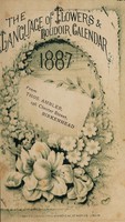 view The language of flowers & boudoir calendar 1887 / [Thomas Beecham].