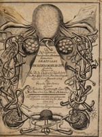 view De non differenda secundinarum adhaerentium extractione. Dissertatio medica chirurgica / [Johann Valentin Harttramfft].